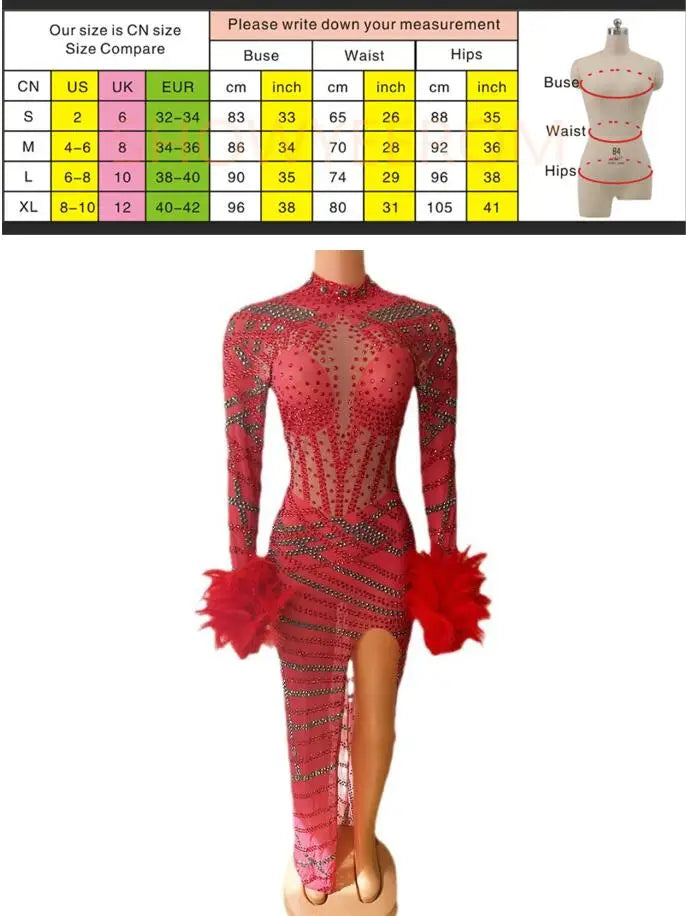 Bar Singer Costume Red Feathers Sexy Temperament Evening Dress Nightclub Model Catwalk Dancing Banquet Dinner Robe Cocktail Luxe